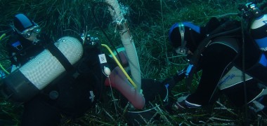 sub in amp tavolara